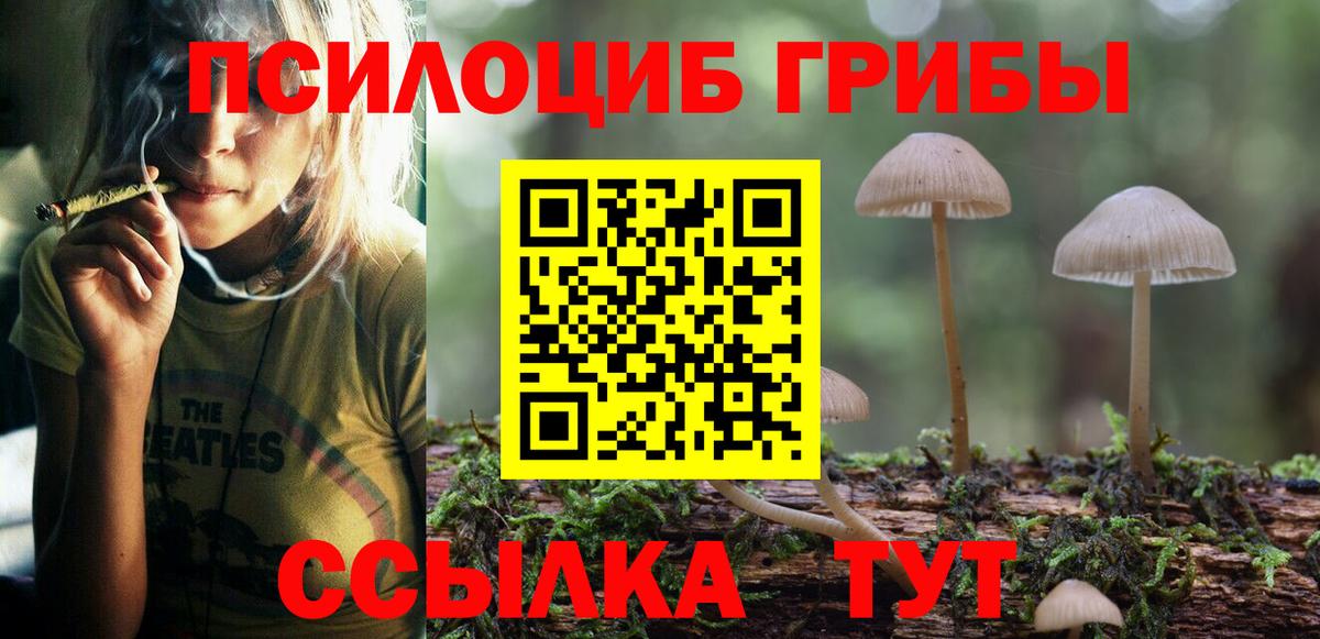 Псилоцибиновые грибы Psilocybine cubensis  Псилоцибиновые грибы Magic Shrooms  Лыткарино  Вход с VPN 