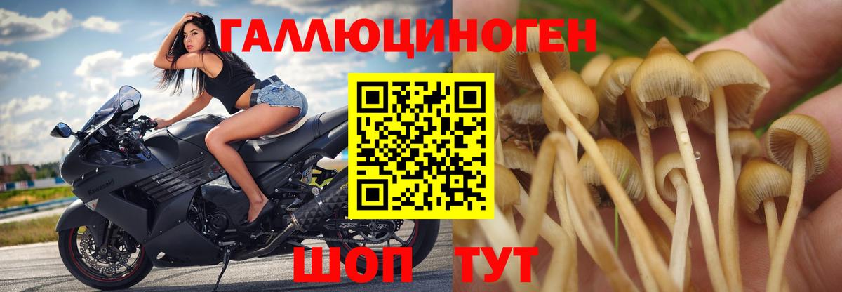 Галлюциногенные грибы мухоморы Лыткарино